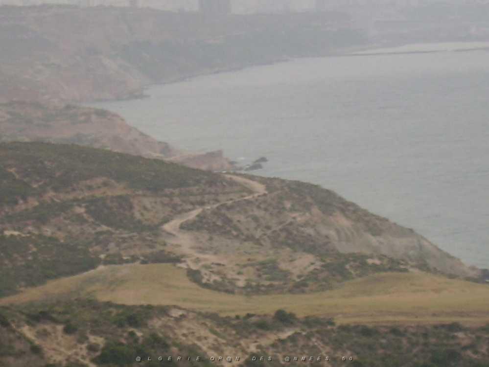 ORAN 2008 CANASTEL 3.jpg